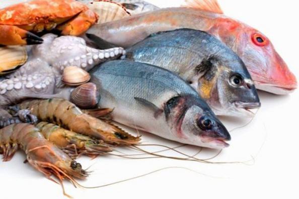 خرید آنلاین ماهی و میگو از سایت های معتبر